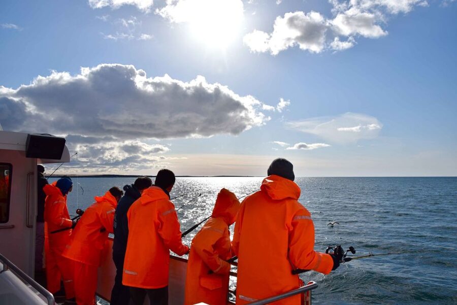 Reykjavik: Sea Fishing Boat Tour & BBQ with the Day's Catch - BBQ on Board With the Day’s Catch: The Best Part After the Catch