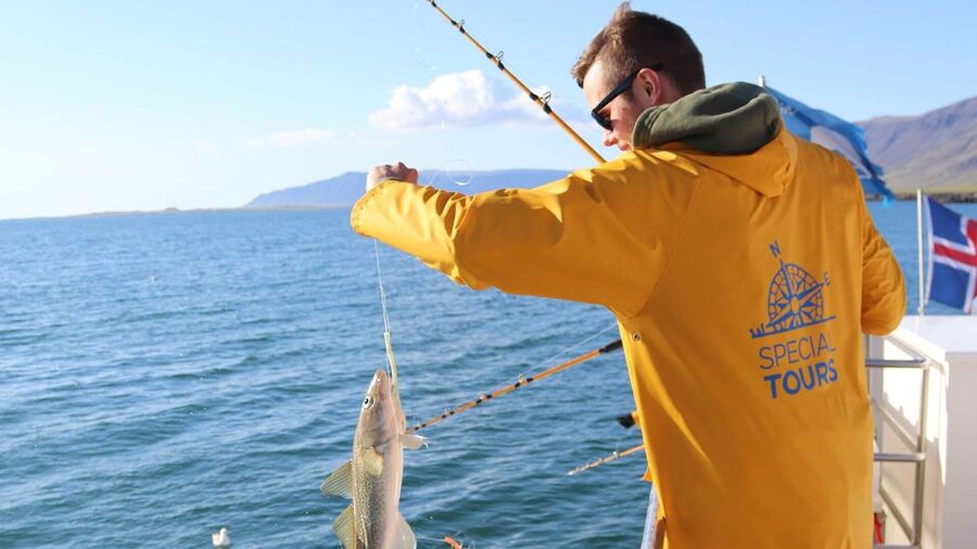 Reykjavik: Sea Fishing Boat Tour & BBQ with the Day's Catch - Price and Value at About $141: What You’re Really Paying For