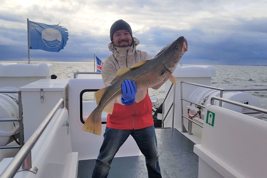 Reykjavik: Sea Fishing Boat Tour & BBQ with the Day's Catch - Who This Reykjavik Sea Fishing Tour Is Best For
