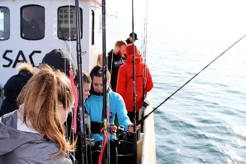 Reykjavik: Traditional Sea Fishing with BBQ Feast - Small Boat, Real Fishing: What Makes This Reykjavik Trip Feel Local