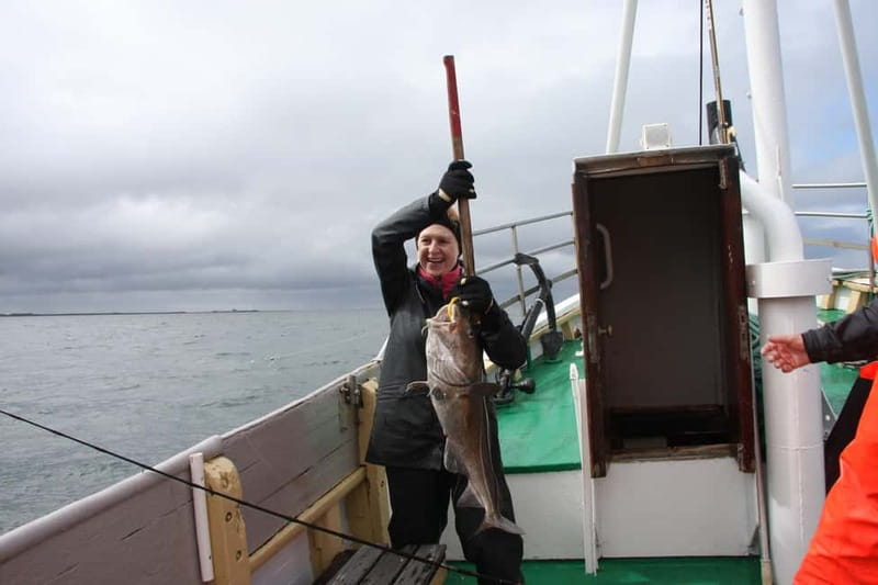 Reykjavik: Traditional Sea Fishing with BBQ Feast - Value Check: Does $170 for 3 Hours Make Sense?