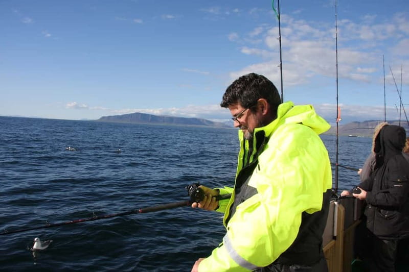 Reykjavik: Traditional Sea Fishing with BBQ Feast - Should You Book This Reykjavik Fishing & BBQ Tour?