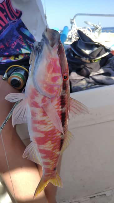 Rhodes: (4H/6H) Private Boat Fishing Trip with Equipment - How This Rhodes Fishing Trip Feels Like a Tailor-Made Day on the Water