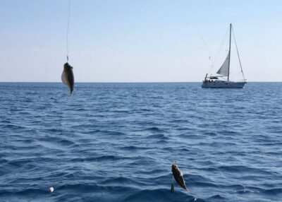 Rhodes: Fishing Boat Trip (Small Group, Food & Drinks incl.) - Real fishing on Mediterranean water (and what “included” really means)