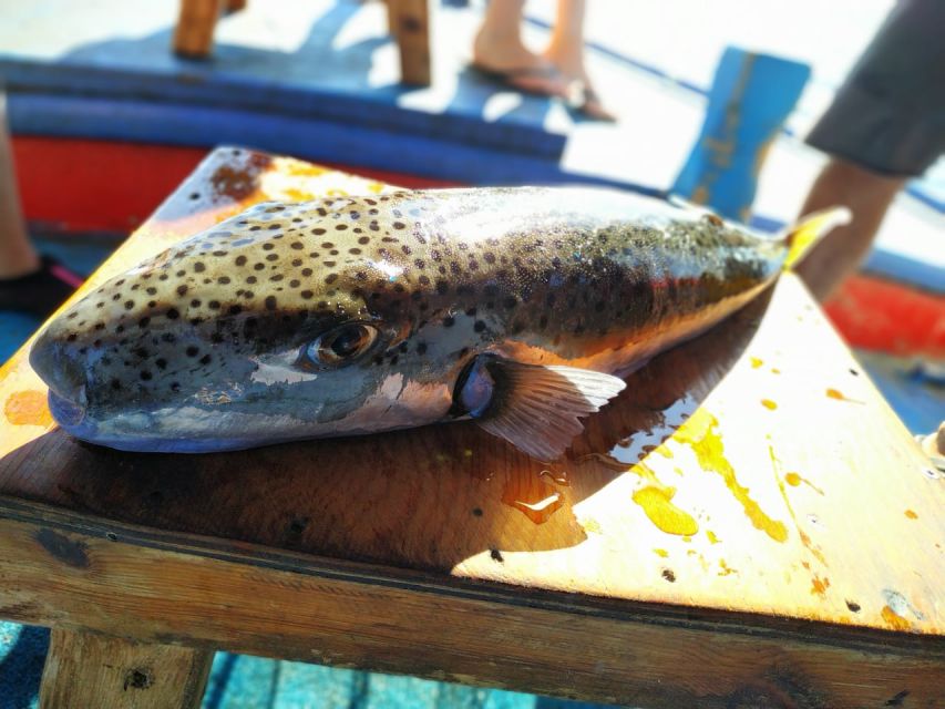 Rhodes Town: Fishing Boat Trip with Fish Meal and Swim Stops - Getting on the water from Mandraki: location, boat size, and what you’ll notice fast