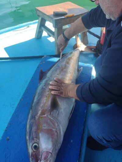 Rhodes Town: Fishing Boat Trip with Fish Meal and Swim Stops - The fishing lesson isn’t a lecture: how Angelo and the captain help you catch something