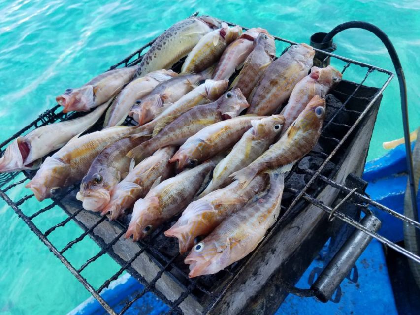 Rhodes Town: Fishing Boat Trip with Fish Meal and Swim Stops - Who should book this Rhodes Town fishing trip (and who should think twice)