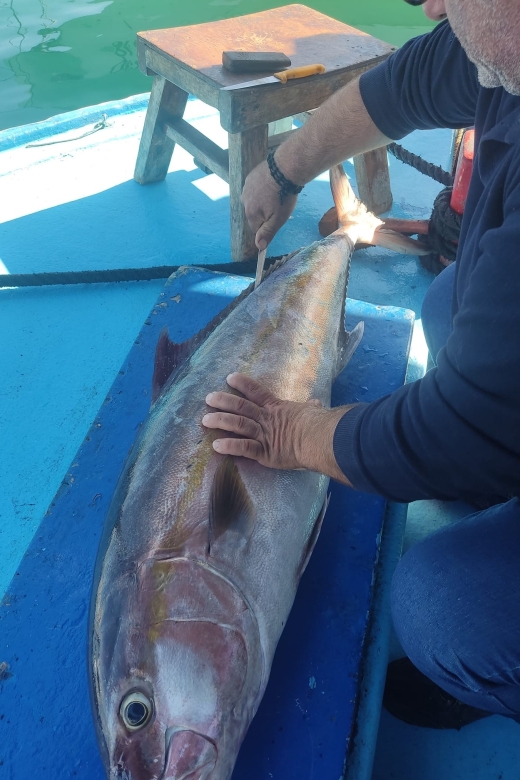 Rhodes Town: Fishing Boat Trip with Fish Meal and Swim Stops - Practical tips so your day feels smooth
