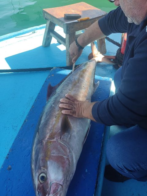 Rhodes Town: Fishing Boat Trip with Fish Meal and Swim Stops - The fishing lesson isn’t a lecture: how Angelo and the captain help you catch something