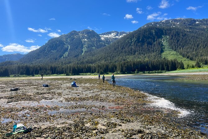 River Fishing and Bear Watching - Timing, weather, and the one early-season twist
