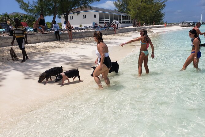 Rose Island: Private Snorkeling, Fishing, and Swimming with Pigs - A Private Charter That Feels Like a Custom Nassau Day