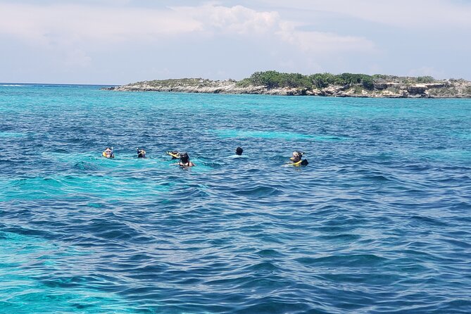 Rose Island: Private Snorkeling, Fishing, and Swimming with Pigs - Rose Island and the Optional Pig Swim: Fun, But Know the Rules