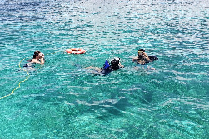 Rose Island: Private Snorkeling, Fishing, and Swimming with Pigs - Price, Value, and Who This Private Boat Day Fits Best