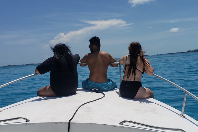 Rose Island: Private Snorkeling, Fishing, and Swimming with Pigs - Tips for Getting the Most From Your 4 Hours