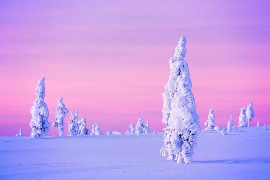 Rovaniemi: Half-Day Snowmobile & Ice Fishing Experience - Ice fishing on a frozen lake: what you’re really doing