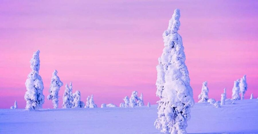 Rovaniemi: Half-Day Snowmobile & Ice Fishing Experience - When fish don’t bite: the fire-side reset