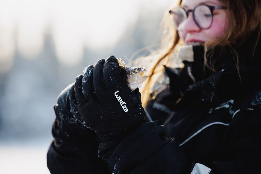 Rovaniemi: Ice Fishing & Snowmobile Safari Combo Day - Wildlife and the polar bear chance: what to expect realistically