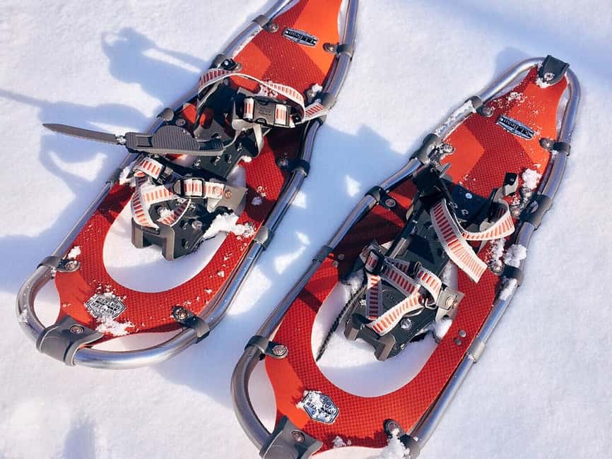 Rovaniemi: Snowshoeing, Ice Fishing and Salmon in Kota - Key Things I’d Prioritize On This Tour