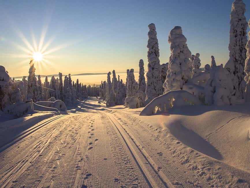 Rovaniemi: Snowshoeing, Ice Fishing and Salmon in Kota - Snowshoeing Through Lapland’s Primeval Forest: Why Snowshoes Matter