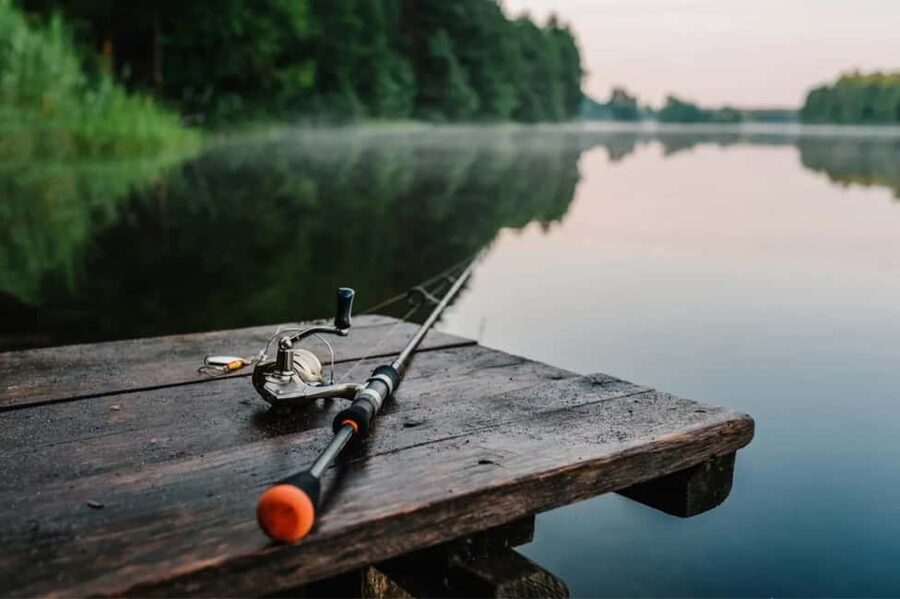 Rovaniemi: Summer & Autumn Fishing Tour in Lapland & BBQ - Key points to know before you go