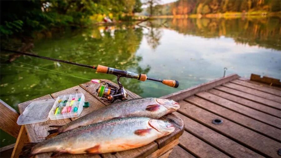 Rovaniemi: Summer & Autumn Fishing Tour in Lapland & BBQ - Small Group (Max 8): The Real Reason This Tour Feels Personal