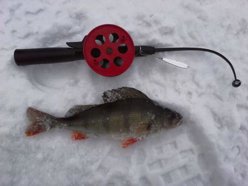 Ruka: Ice fishing trip - Open-fire fish prep: the local touch you only get if you catch