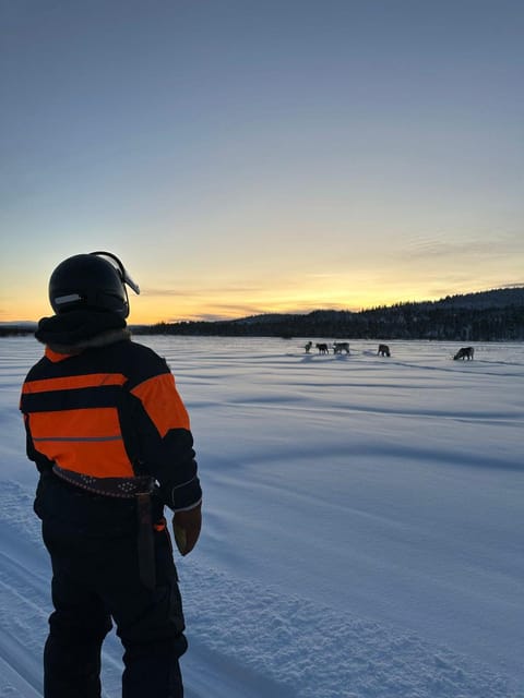 Saariselkä: Ice Fishing Tour to Lake Inari, reindeers& lunch - Three-Course Teepee Lunch by Open Fire and Hot Berry Juice