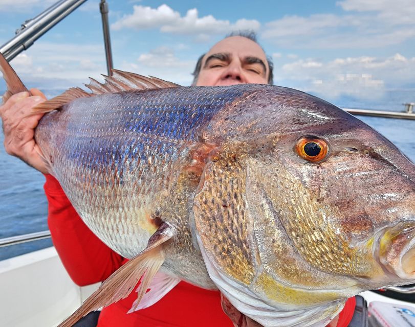 Saint-Laurent-du-Var: 4-Hour Fishing Trip - Price and value: $695 for a private 4-hour charter