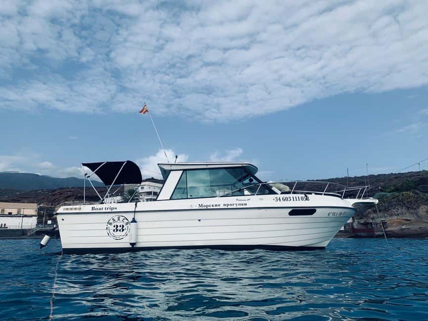 Santa Cruz de Tenerife: Private Family Fishing Tour - Seasickness Reality Check and Other Smart Tips