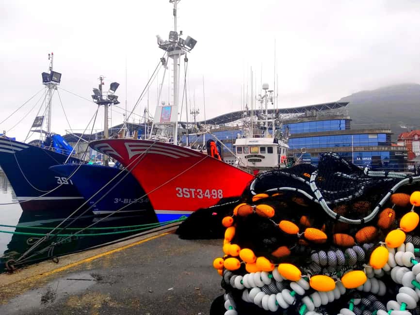 Santoña: Anchovy Art Gallery with Fishing Port and Market - Conservas Ana María’s Anchovy Art Gallery: antique machinery with real purpose