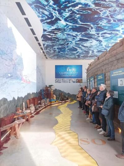 Santoña: Anchovy Art Gallery with Fishing Port and Market - Learning the language of the fish: purse seine, registrations, and auction basics