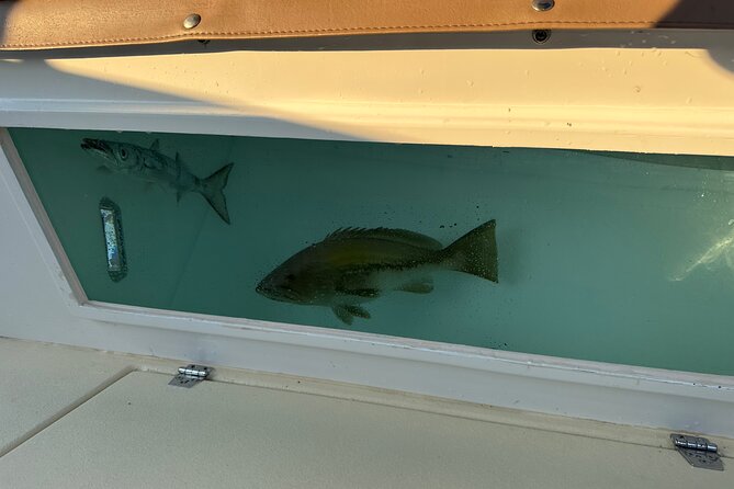 Santorini Fishing Private Cruise boat tour - BBQ, Snorkeling - Simple FAQ before you book