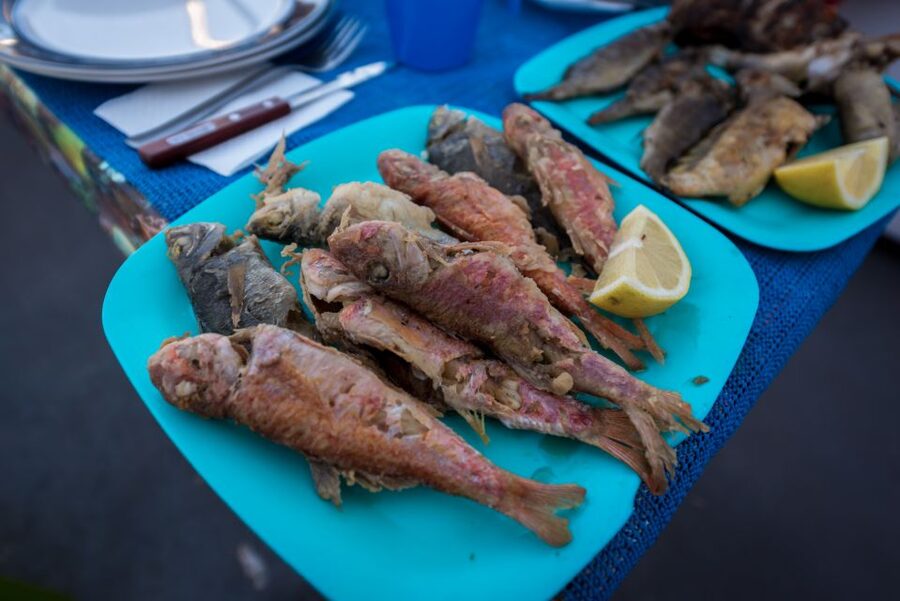 Santorini: Traditional Fishing Trip and Fresh Fish Lunch - What Makes the Crew and Captains So Central