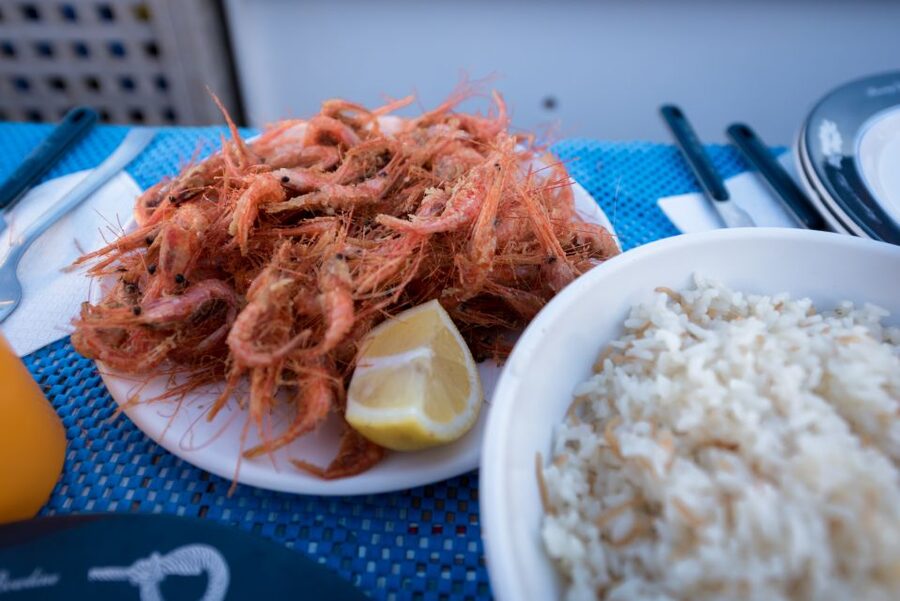 Santorini: Traditional Fishing Trip and Fresh Fish Lunch - From Hotel Pickup to Captain Anthi’s Fishing Morning