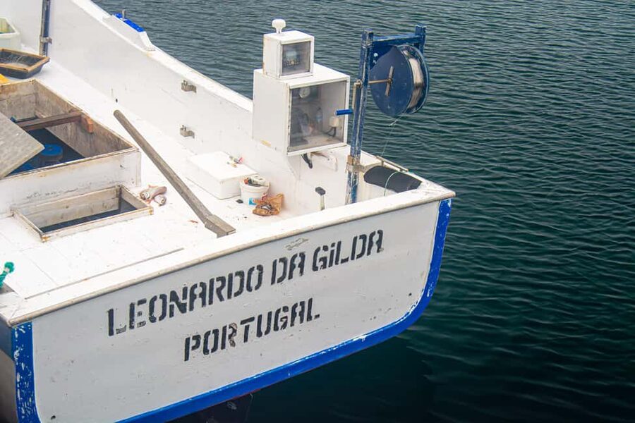 Sao Miguel: Azores Traditional Fishing - Half Day - Rabo de Peixe: where fishing is daily life, not a show