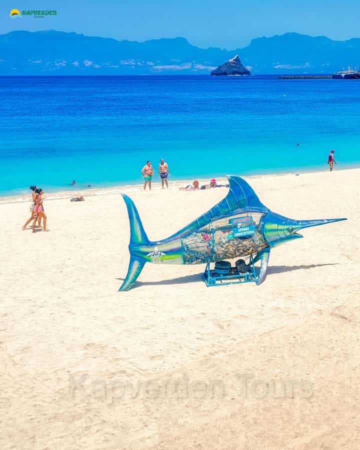 São Vicente: Markets, Mountains, Fishing Villages & Beaches - Quick hits you’ll feel on this tour