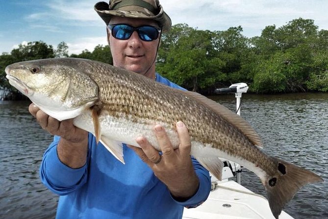 Sarasota Inshore Fishing Charters - Why Sarasota Bay inshore fishing is such a practical pick