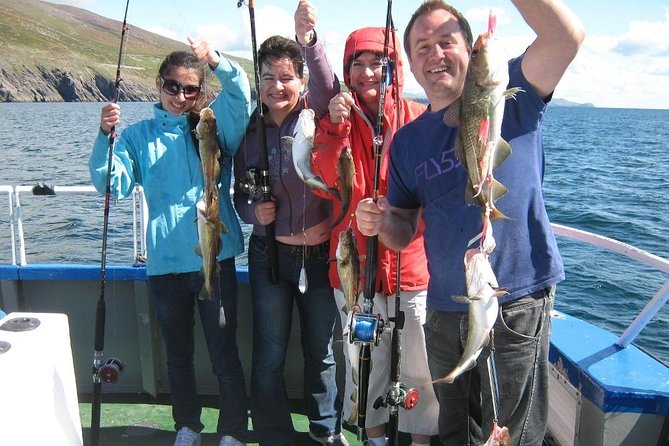 Sea Fishing 2 hour - Two hours on Dingle Bay: what you’re actually doing