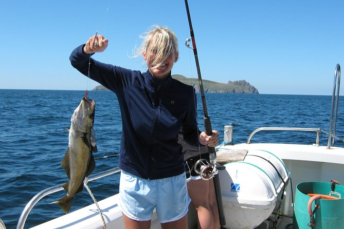 Sea Fishing 2 hour - Catch and release vs taking fish home: how to think about it