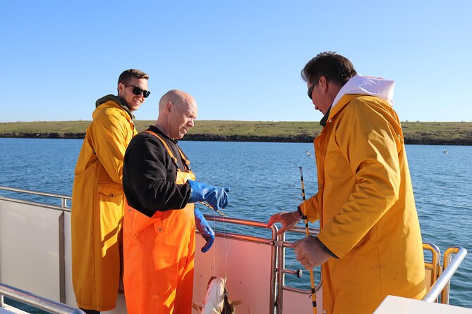 Sea Fishing Experience from Reykjavik - Key things about this Reykjavik sea fishing tour