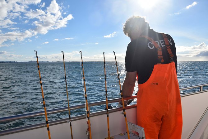 Sea Fishing Experience from Reykjavik - Summer route bonus: Akurey and Lundey for puffins and seabirds