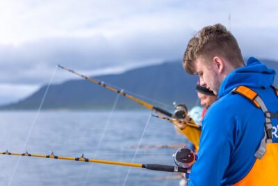 Sea Fishing Experience from Reykjavik - What fish you can catch (and why the species list matters)