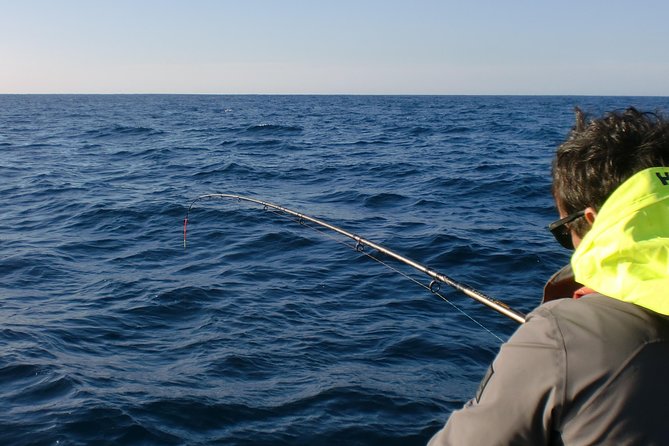 Sesimbra: All-inclusive Sport Fishing Tour - Who this tour is best for (and who should think twice)