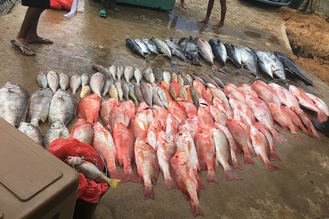 Seychelles Fishing - Key Things You’ll Notice Before You Go