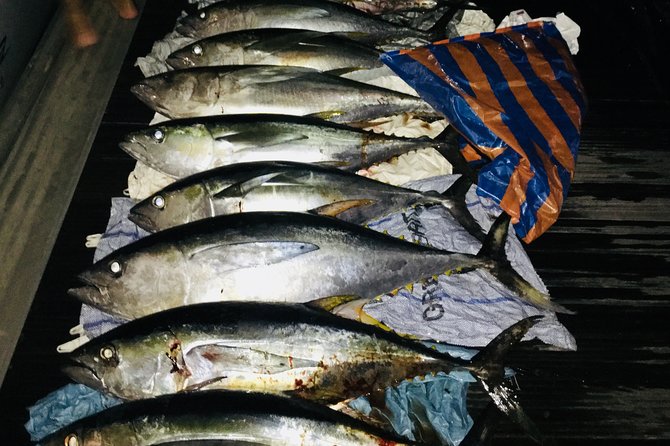 Seychelles Fishing - Species You Can Target in Seychelles Waters