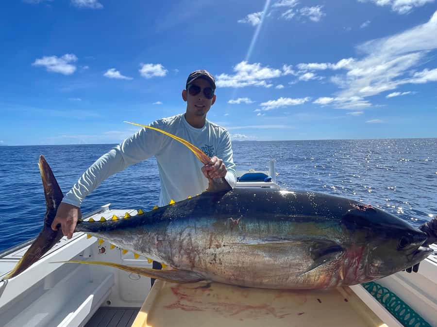 Seychelles: Guided Fishing Trip with Pickup and Equipment - Key Things to Know Before You Go