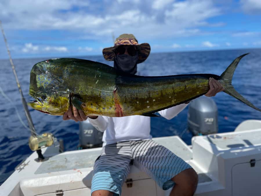 Seychelles: Guided Fishing Trip with Pickup and Equipment - The Real Game Plan: How Local Guides Find Fish Around Mahé
