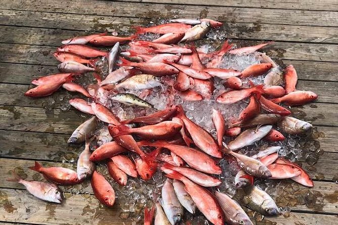 Shared Deep Sea Fishing Trip from Destin - Key Things I’d Bet On Before You Go