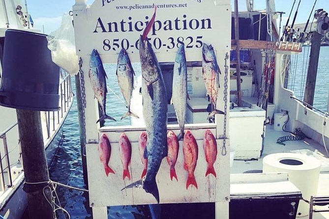 Shared Deep Sea Fishing Trip from Destin - Shared Charters in Destin: Why This One Makes Sense