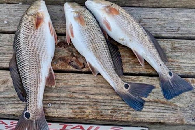 Shared Deep Sea Fishing Trip from Destin - Bottom Fishing Setup: What You’re Really Doing Out There